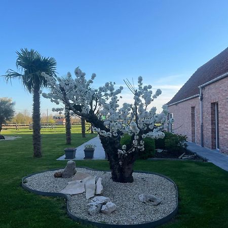زونيبيكه B&B Deso المظهر الخارجي الصورة